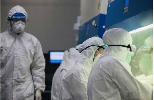 coronavirus, doctors